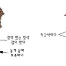나비정보시스템 이미지