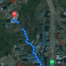 도로줌마을 | 동해 묵호여행 등대마을 야경 전망대