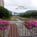 갑오마을5단지 부영아파트(장유6차) | #김해장유율하 갑오마을푸르지오9단지 매매 화이트몰딩인테리어