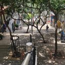 정 ‘S 커피앤정 ‘S 식당 | 홍콩 덩라우벽화 쿤키완탕누들 하프웨이커피 실크 밀크티