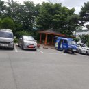 스팀런