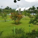 안성동광 이미지