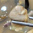 택이네조개전골 (신중동점) 이미지