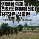 진안군농업기술센터 | 🌸 진안군 농업기술센터 가을 꽃 축제