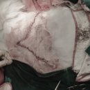 나은동물병원 이미지