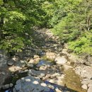 화엄사1로 이미지