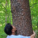 진도생약초건강원 | 氣 치료 들어 보셨나요? 氣 체험 중입니다