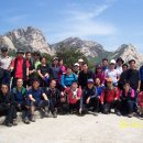 유미숙농장 이미지