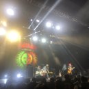 신선이용원 | LOUD BRIDGE FESTIVAL 2025 후기