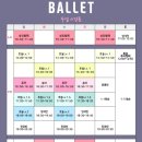 토요 성인발레 중급 이미지