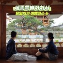 세종 근교 가볼만한곳 4 미래엔교과서박물관 외 당일치기 국내여행