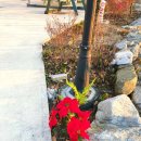 나훔펜션 이미지