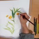 연필스케치와 꽃그림 이미지