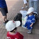 대구 삼성 라이온즈파크 캠핑존 후기 ⚾️ +3살 아기와 함께👶🏻 (6월 14일 5시 경기)
