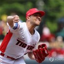 네일 - 파주시 술이홀로 427 | 네일