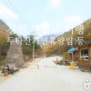 수하약수터 이미지