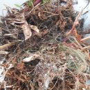 광천농약사 이미지