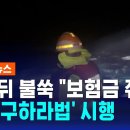 사망 뒤 불쑥 "보험금 줘라"…선원 사망에도 '구하라법' 시행 이미지