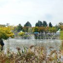 음악분수대 이미지