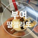 팜젤라또 이미지