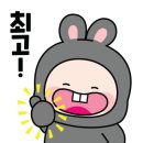 봉그루밍 이미지