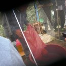 대벌농장 이미지