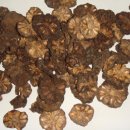 노니카페 이미지