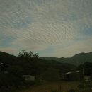 산양삼마을민박 이미지