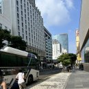 제주스피드코너 | 제주 카트 체험 짜릿함 가득한 9.81파크 마스터챌린지 가격 후기 무료 셔틀버스 위치 이용방법