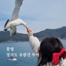 해상구조센터 화장실 | 통영 장사도 동백꽃 | 통영 장사도 유람선 타고 동백꽃 본 후기
