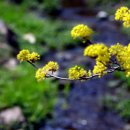 산서초 앞 이미지