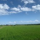 노지태양광발전소 이미지