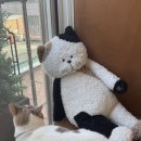 고양이숲 | 서울숲 고양이카페 너즐 귀여운 고양이 힐링 공간 후기