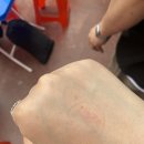 하림멕시칸 이미지