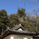 고성교육지원청본관(2층) | 대형카페 인주카페 풍경점 숲속에 들어선 천안신상카페 커피도 빵도 맛있는 천안북면 베이커리카페 후기