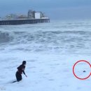 바다랑파도랑 이미지