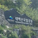 세븐일레븐 태백산광장점 이미지