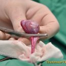 하일동물병원 이미지