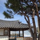 외간정글돔하우스 | 거제 정글돔 가기 전 들른 한옥카페 더외간, 야외정원이 있어 더 좋았던 카페방문 솔직후기!