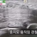 케이스대학