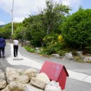 태인~당산 이미지