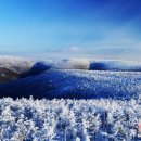 ▶ 중국여행 정보숲속의 동화 - 내몽골(內蒙古) 모다올가(莫道爾嘎)-10 이미지