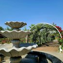 금강 행정사사무소 이미지