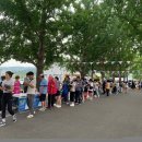 곡교천 은행나무길 이미지