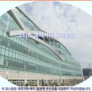 코티스 앰버서더 그라운드 이미지