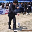 HIGH-CLASS 이미지