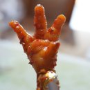 닭발이야기 이미지