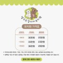 오션유치원 | 부산 북구 화명동 애견유치원 댕구르 유치원 체험 솔직후기