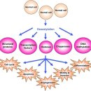 쎌짐 (CellZym): 암 자연치료에서 HDAC, GSK-3, mTOR 및 프로테아솜 억제제의 복합 시너지적 사용 이미지