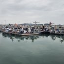 목포 활어회 플라자 이미지